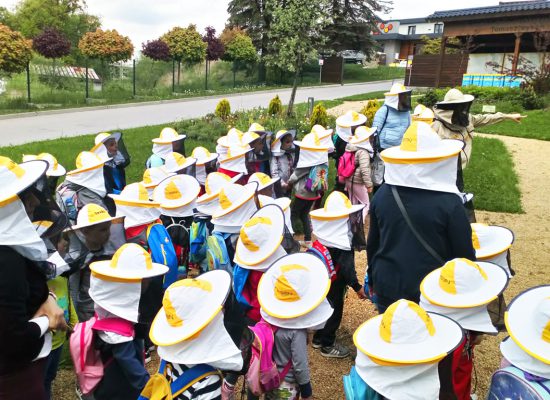 Grupa dzieci w czapkach pszczelarskich