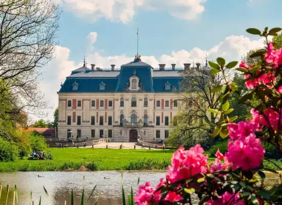wycieczka szkolna do muzeum zamkowego w Pszczynie