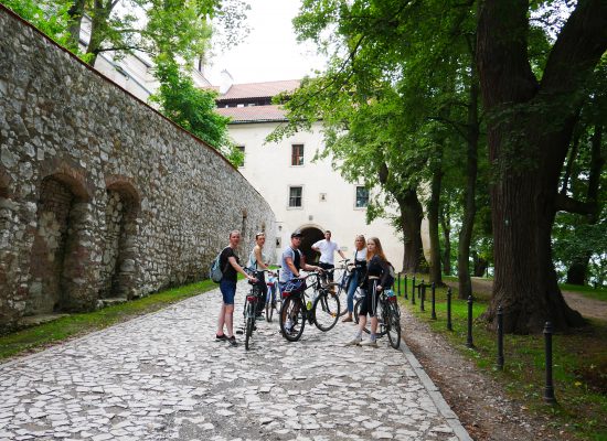 Grupa ludzi na wycieczce rowerowej w Tyńcu