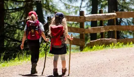 Zielona szkoła w górach Pieniny