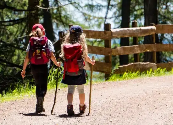 Zielona szkoła w górach Pieniny