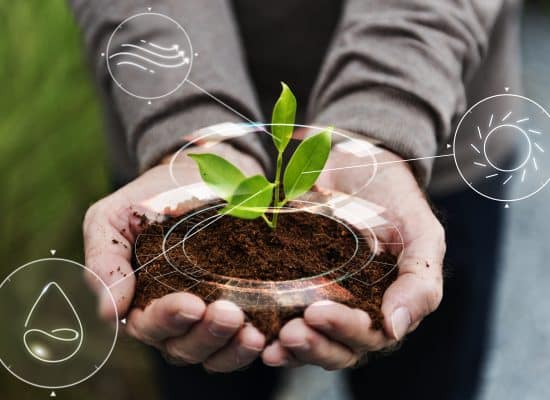 EKOLOGICZNA WYCIECZKA EDUKACYJNA Z  PARTNEREM TRAVELIFE